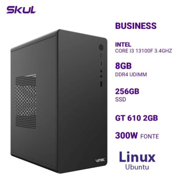 Computador B300 Core I3 13100F 3.4Ghz Mem 8Gb Ddr4 Ssd 256Gb Gt 610 2Gb Fonte 300W Linux Ubuntu