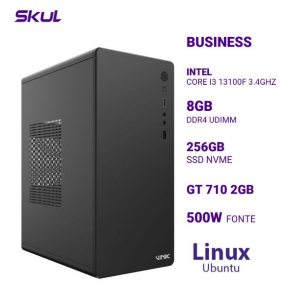 Computador B300 Core I3 13100F 3.4Ghz Mem 8Gb Ddr4 Ssd 256Gb Nvme Gt 710 2Gb Fonte 500W 80 Plus White Linux Ubuntu