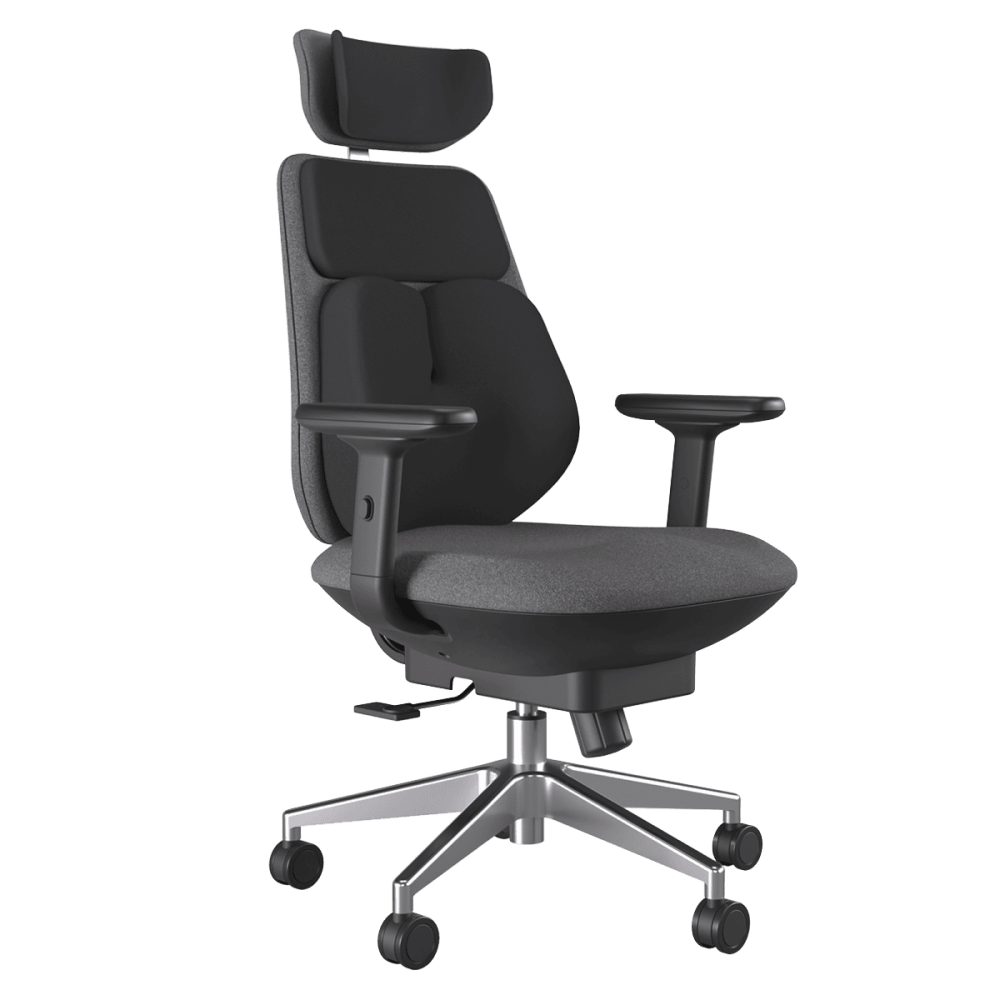 Cadeira Ergonomica Sublime Pcyes X Backrobo - Black - Pcybrbl - Imagem 5