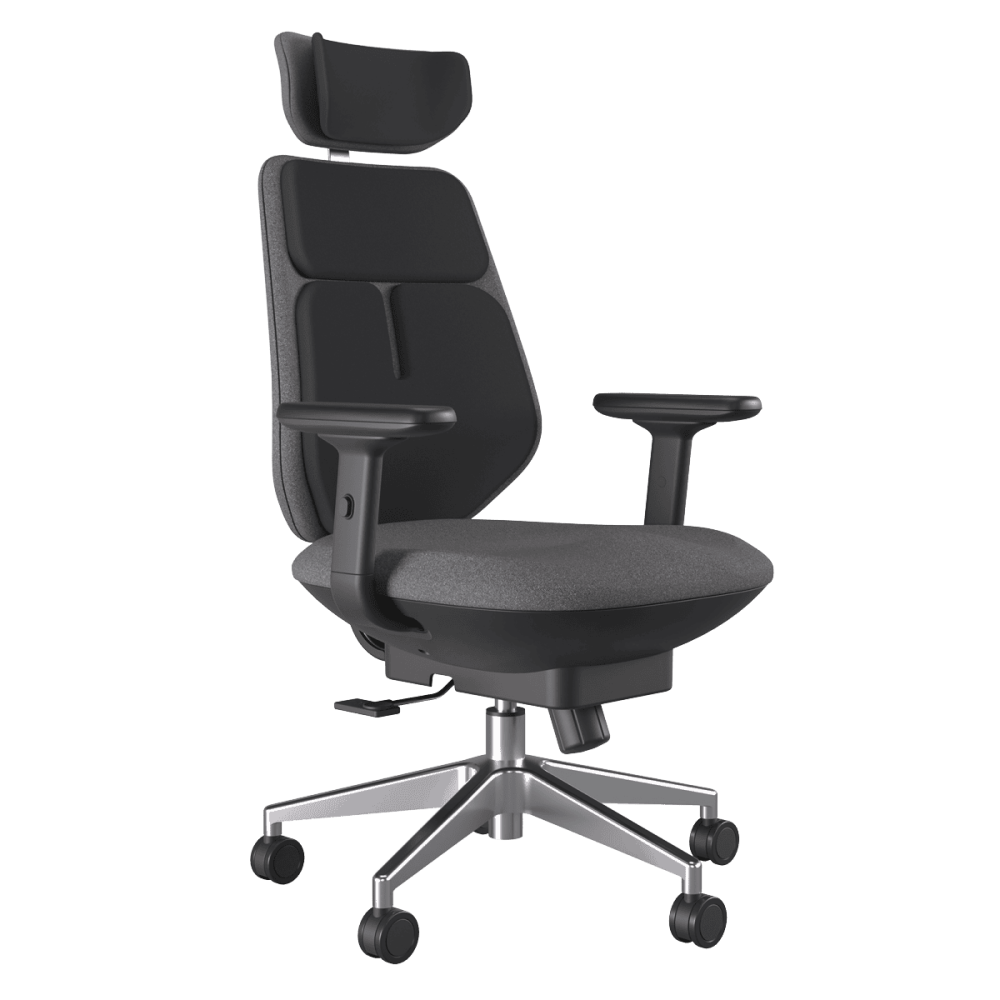 Cadeira Ergonomica Sublime Pcyes X Backrobo - Black - Pcybrbl